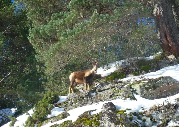 Calme 4-6 Personnes Proche Centre - Parking - Fr-1-234-352 *